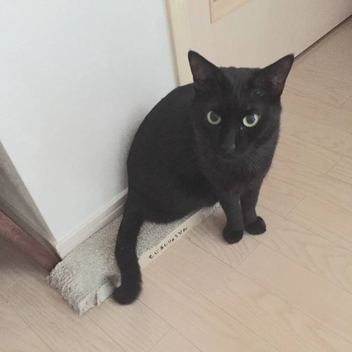 Ac3cf43c a69d 4765 991e bebe6490a54d