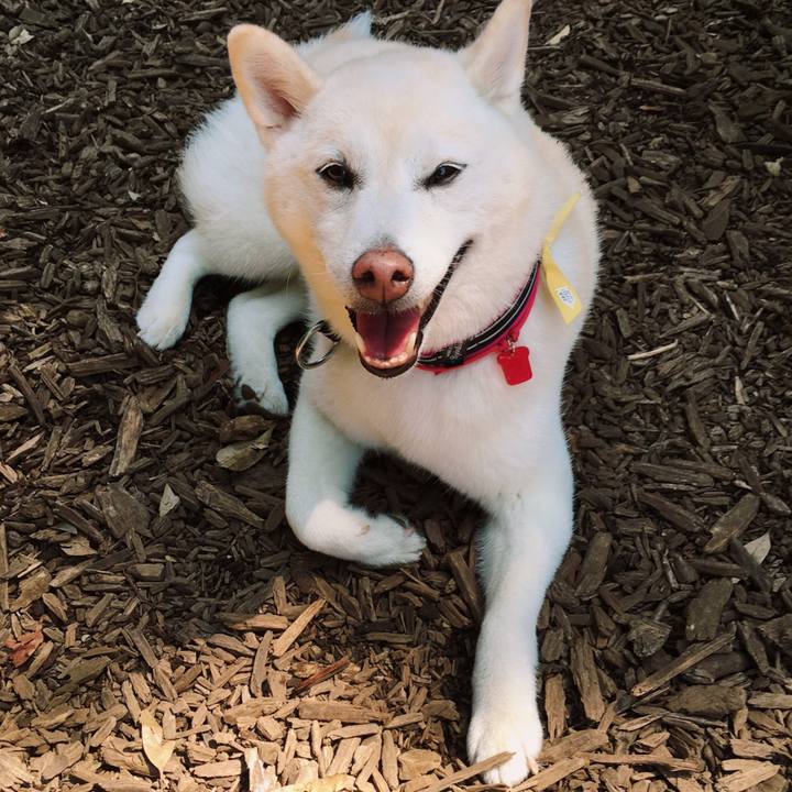 Ac3d282d 76b6 456e a2ca c12cd282fff3