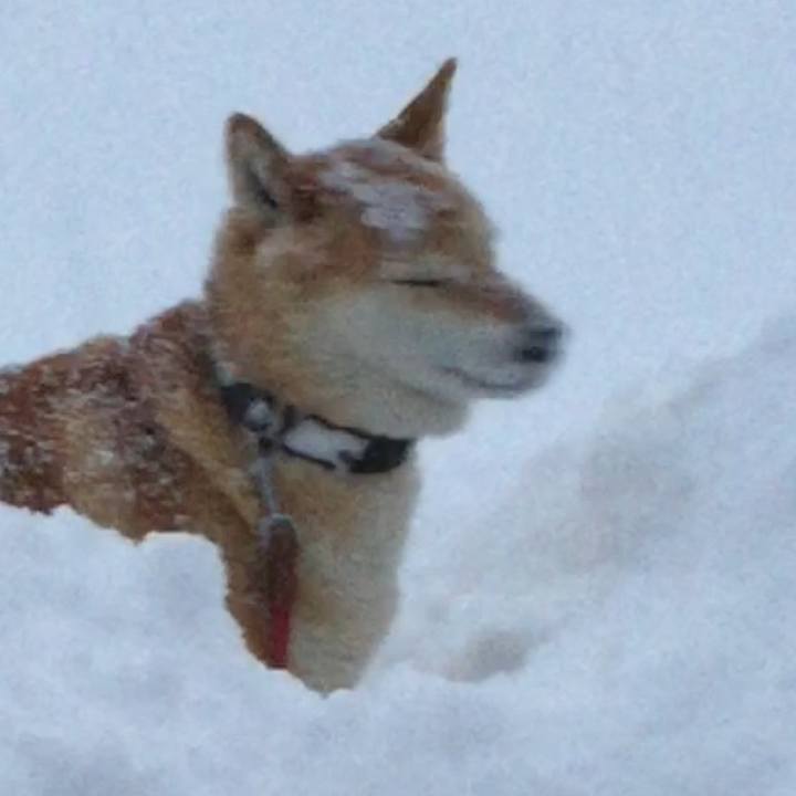 Ac3e07a6 3e64 496c a1e6 0684b8fd0757