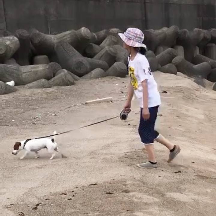 Ac3e9e33 8687 44a4 bd54 b10dd42baeb3