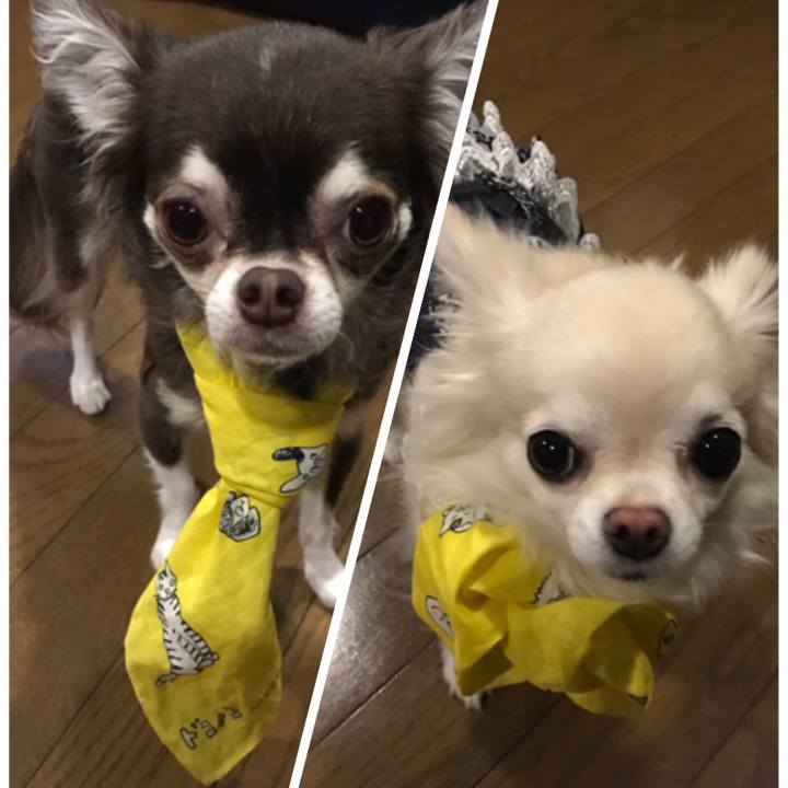 Ac3ebbab c034 4f10 b378 d379fb7bc78b