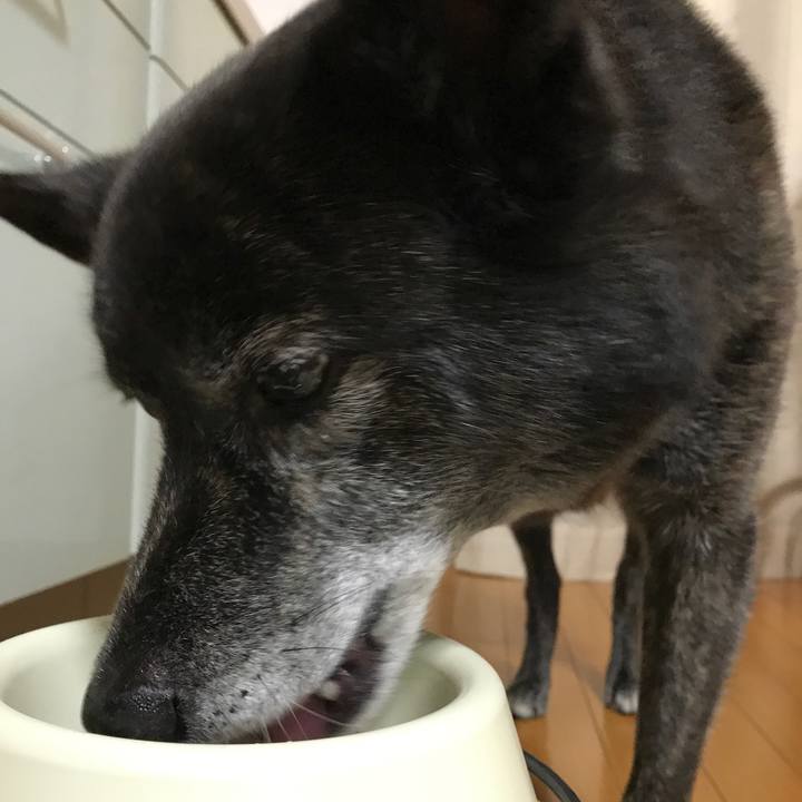 Ac3f1b67 6f61 4b45 9673 24d8e6059dee