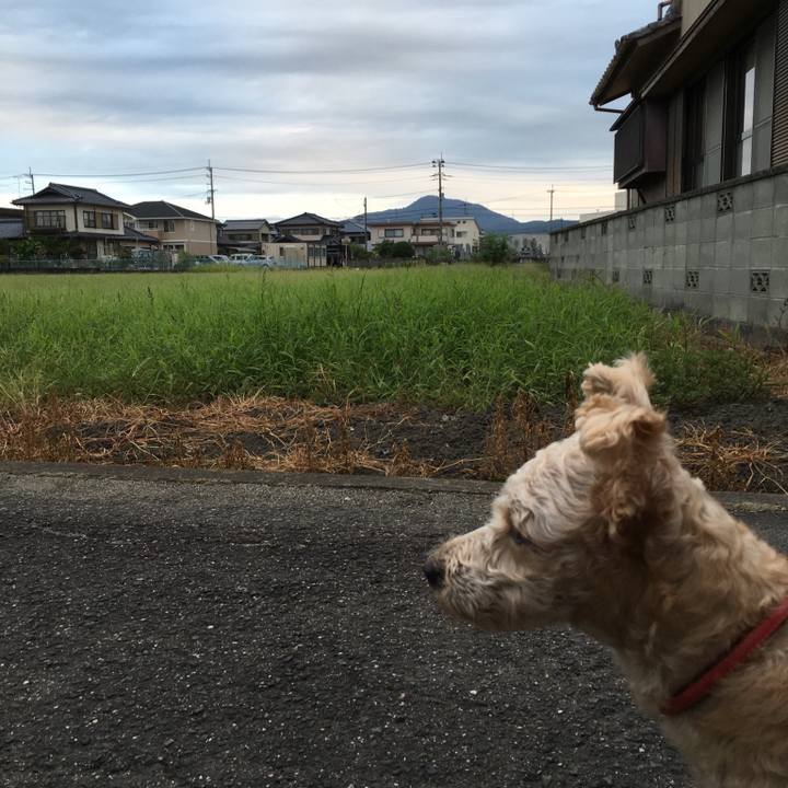 Ac3f7303 aad9 42f6 9f14 ca9d2b84f66c