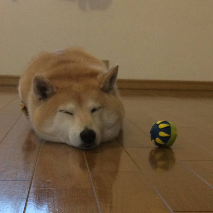 Ac3f7e78 1888 4dab 9614 2974850a2d7d