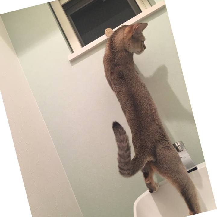 Ac3f999a ca08 4fe3 b265 031a77d54fd2