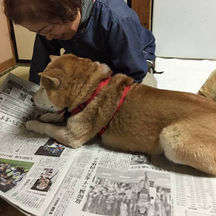 Ac3fd762 7c71 451a a213 0ee64722b30a