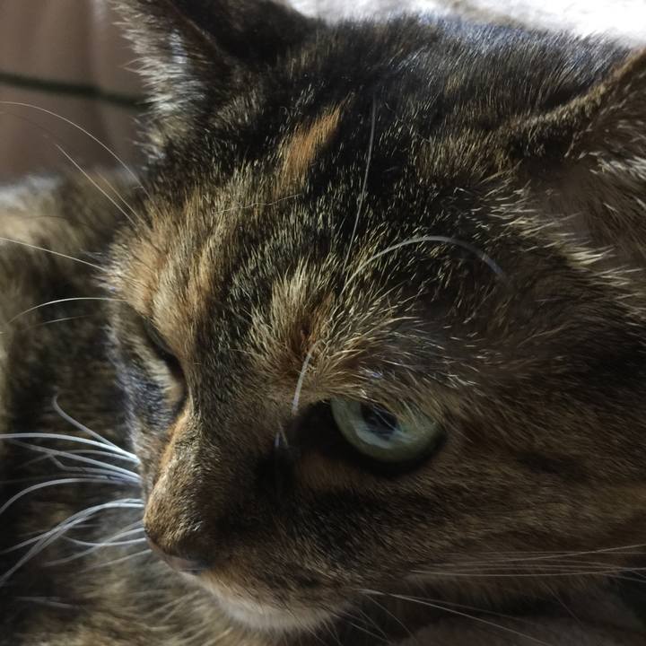 Ac3fddb3 cb3a 4baa 8043 537d6c2687bb