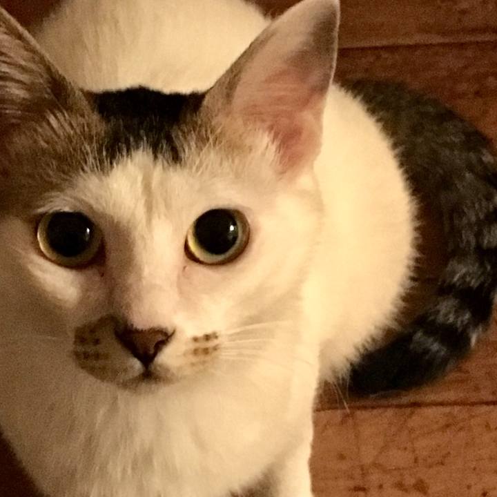 Ac4056e0 7f08 4da6 a96a e7c961edb566