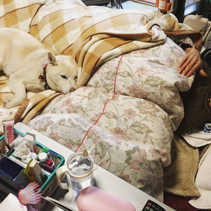 Ac40e206 0930 43f2 b84e 81794eeffbb8