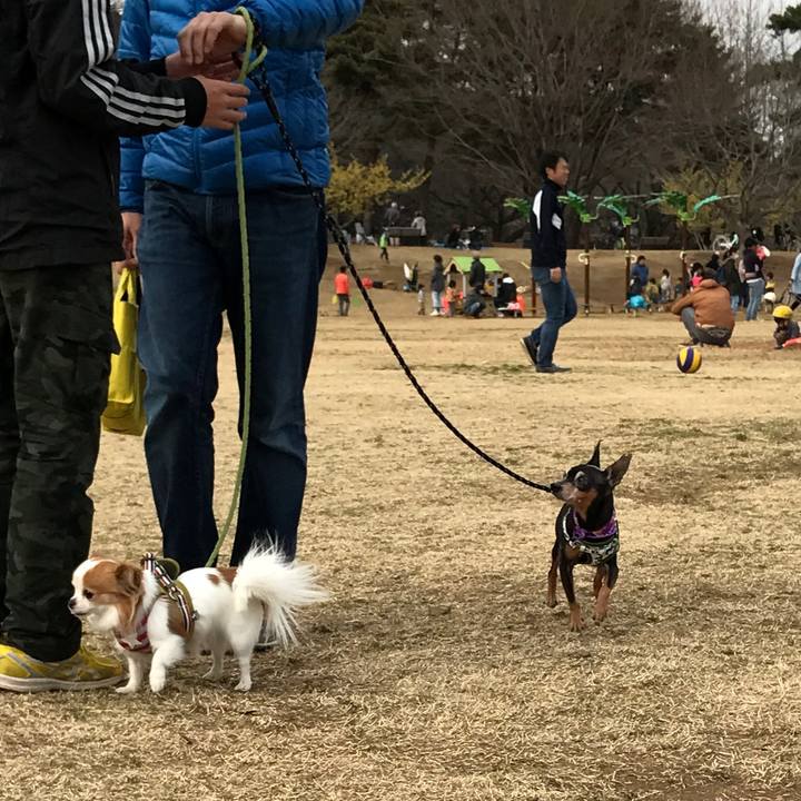 Ac40eecd bc32 4256 9ea0 0a1c571a88a3