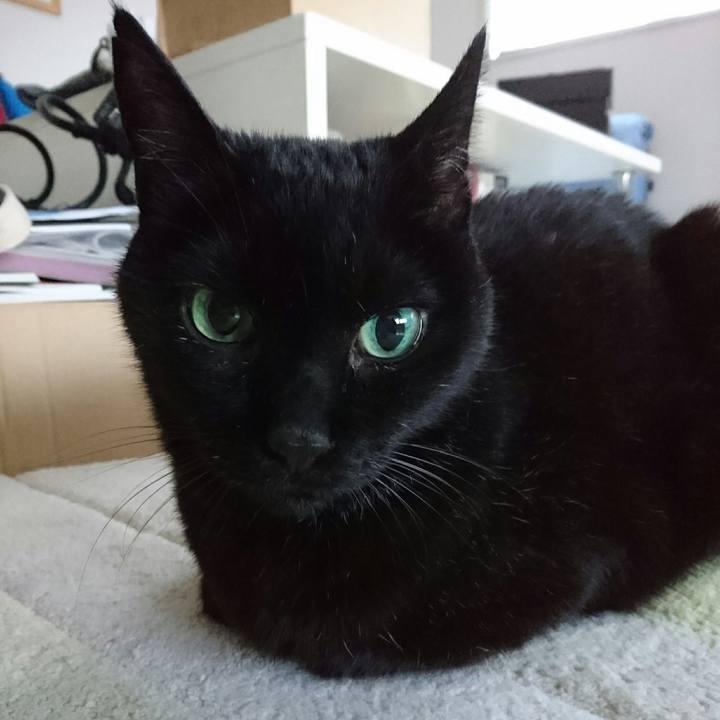 Ac40f15e 48b3 41e9 9588 339b67b79271