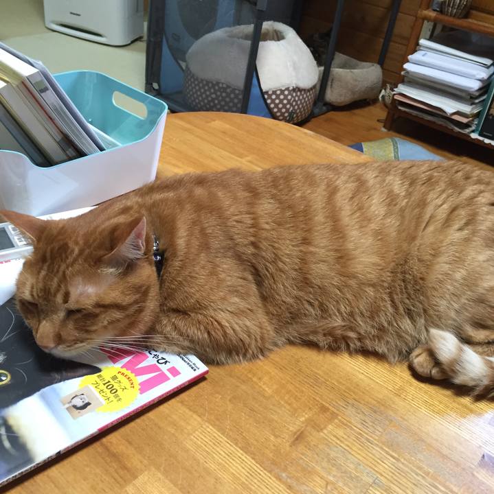 Ac415f73 2d29 4a16 94b7 11707731f0be