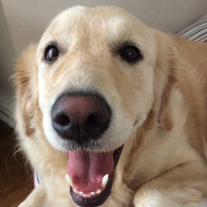 Ac41a088 96d1 4294 b953 50c6f99065a5