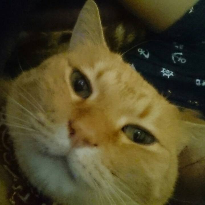 Ac41d3a9 5123 4835 a47b c53cc991f41e