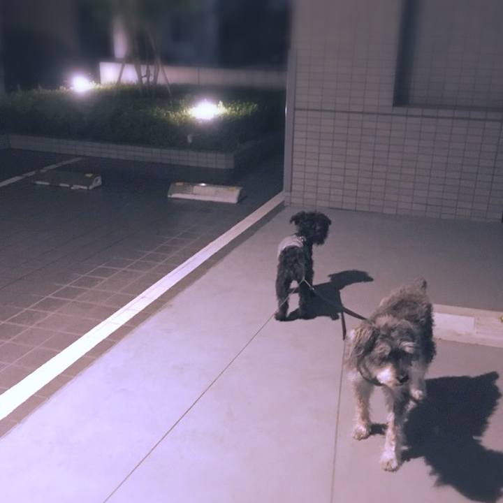 Ac41ebf3 f59e 49b7 83ff 07cd5e54f5c7