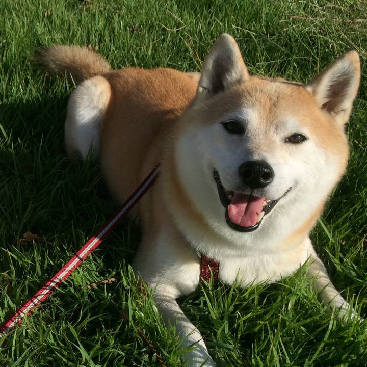 Ac4292b4 f36b 4397 b253 186855540854