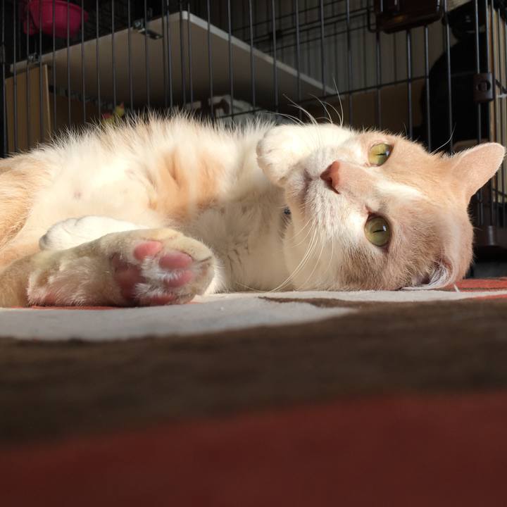 Ac42aa6a dacb 46b4 b2c9 8b549c89b08f