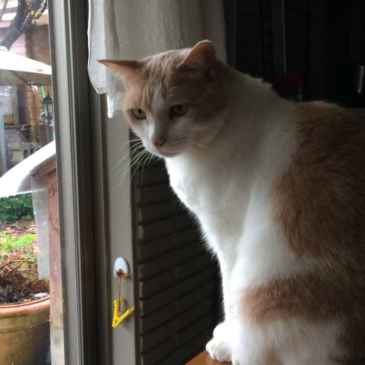 Ac42be02 c2d9 40ec a5ef f6cb7d2f46a4