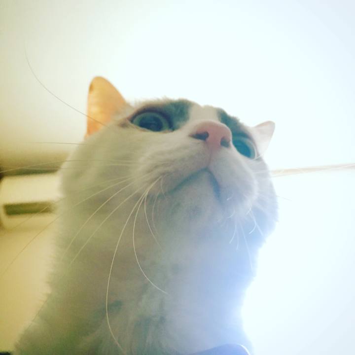 Ac4321ff b2c2 4fe8 8233 1c2569dde602