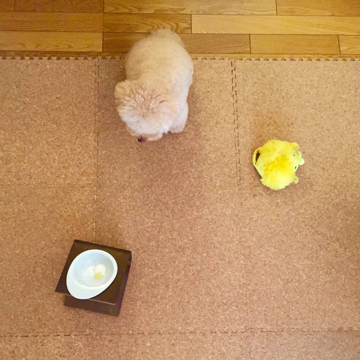 Ac442e54 b331 4b87 bf9f d43fccd44dbf