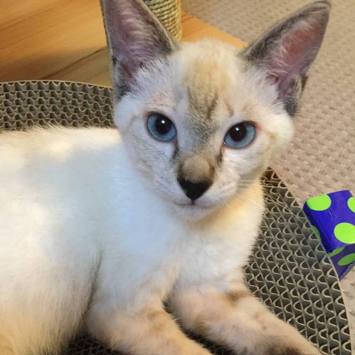 Ac451e95 f087 4c1b 9e79 1121c40c39d7