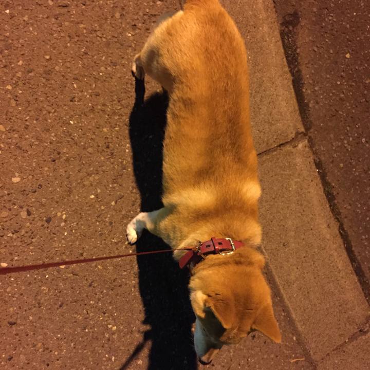 Ac45ac72 23f2 4f85 9b39 332982862b24