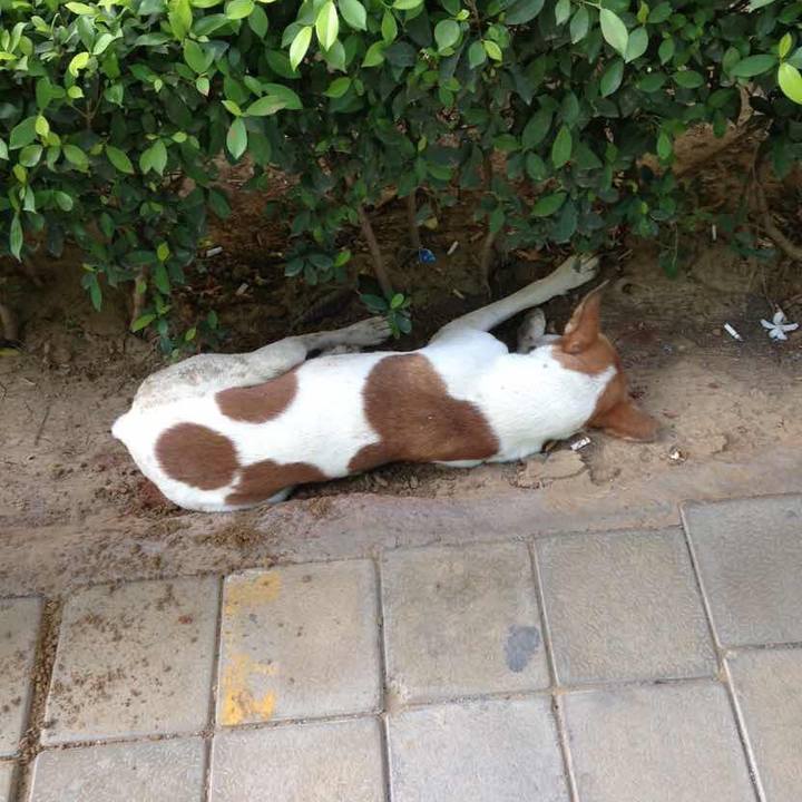 Ac46235c c0f0 4478 ac10 1dccaab04085