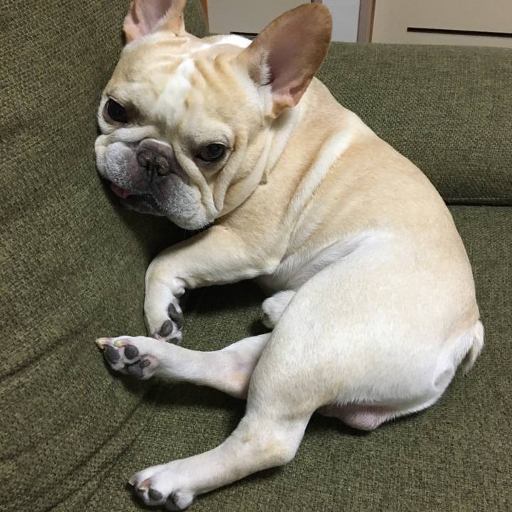 Ac4630b0 3aa7 48bd b8b1 6c590214b323