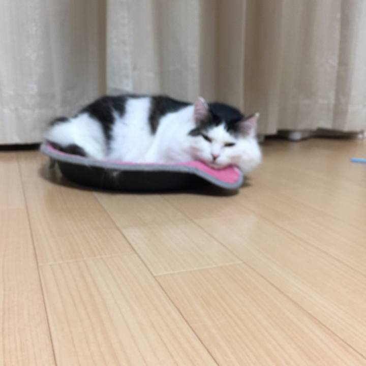 Ac46a719 5eb4 4931 a906 57e8c81acbf5