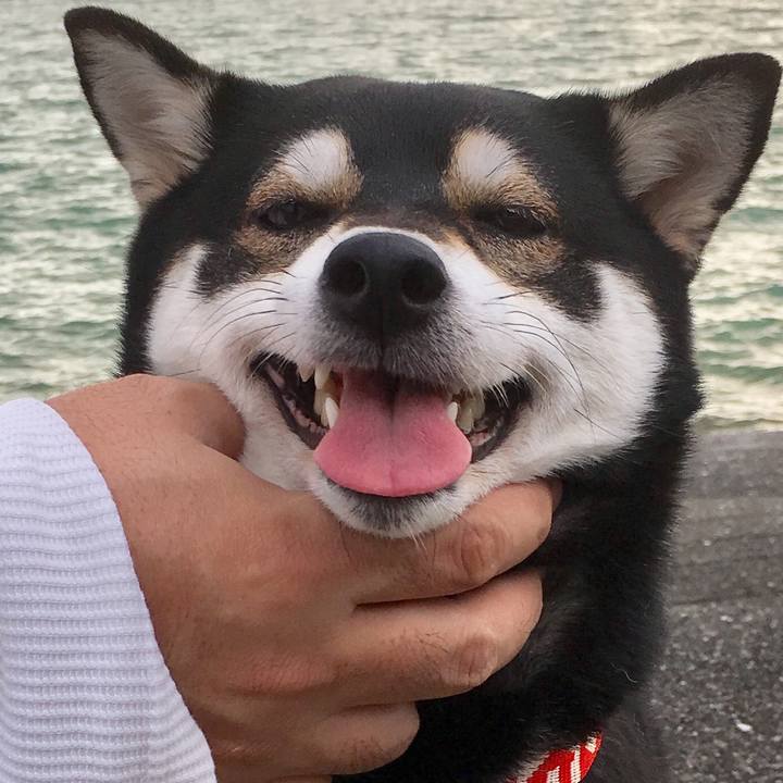 Ac46a9e2 6287 4ad0 93e6 d94f221b5d5a