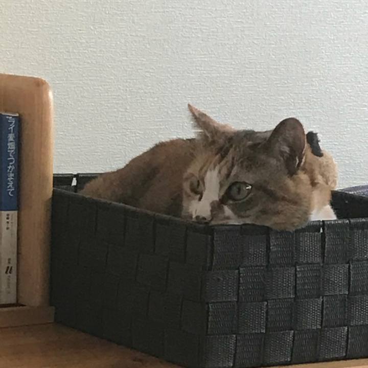 Ac46b3fa f3c4 4e5e 80e6 74059ed12c07