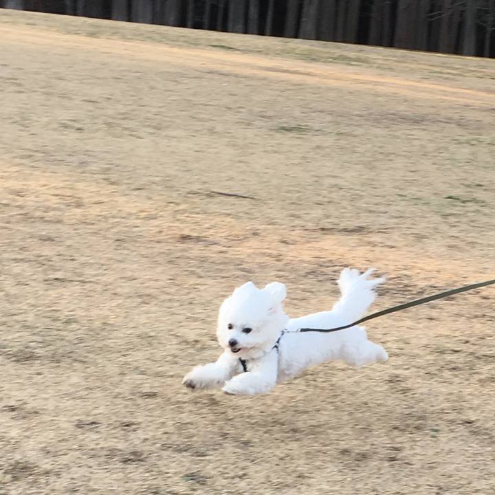 Ac46f28a f9bb 48ad 8aed 8fe0785b34bd