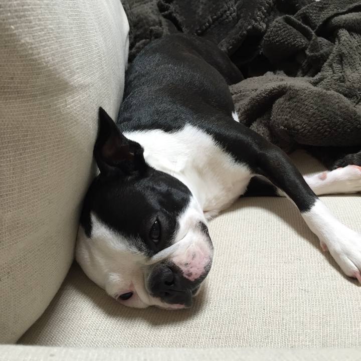 Ac46fbbe 70e9 4318 900d 849b6269b2d8