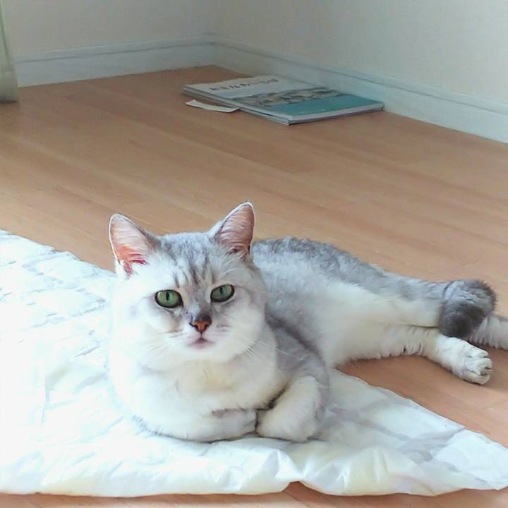 Ac476b6e 6a40 481a a18e ef436a775e0a