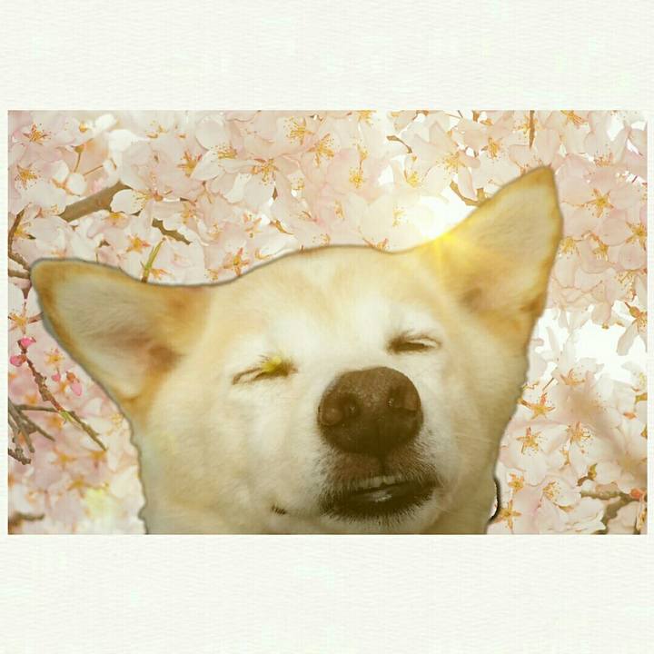 Ac48ef5f 40ca 413f 97e1 7e9a8479bd17