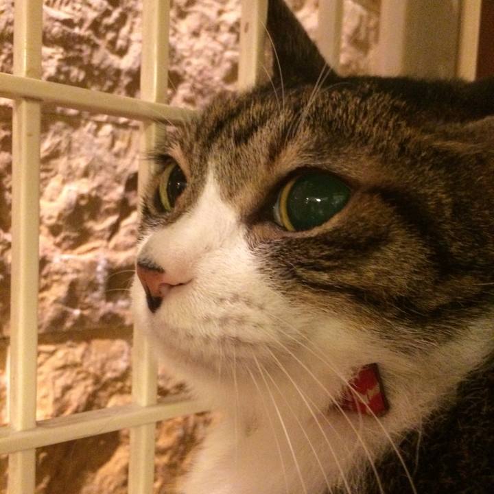 Ac49599a ac1e 4b8d 98a6 8ba0aa127c19