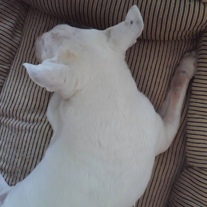 Ac496b96 37bd 4d62 aeeb fff5c777a863