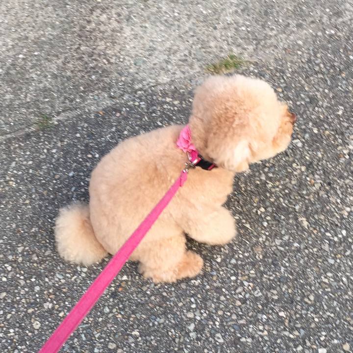 Ac49870d 1979 4218 98ac 959d825f370b