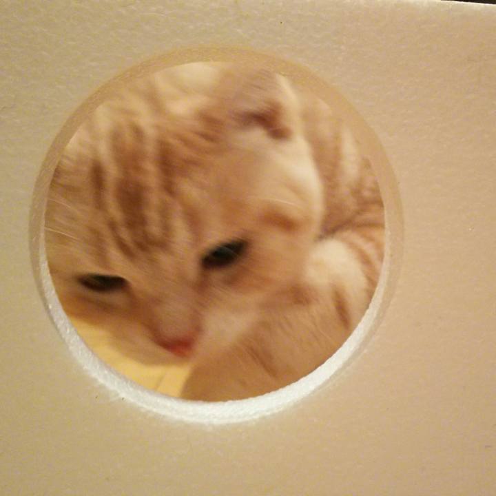 Ac499480 aaff 4654 98a4 29d55c746f32