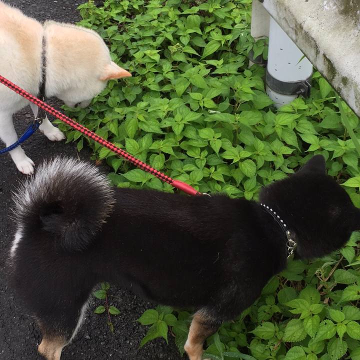 Ac49af4b 4695 4bb2 b113 c40911b7cd09