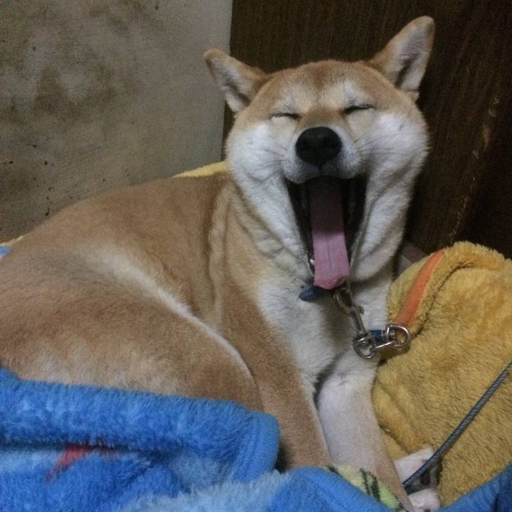 Ac4a2d58 deab 4220 a0ca 6deafe9883c8