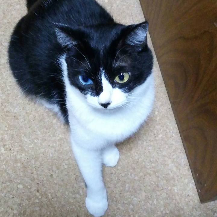 Ac4ae674 62f8 4194 98fa 30d91715bfaf