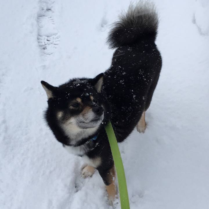 Ac4d7780 fa6e 4832 a5de d33bed5e95fb