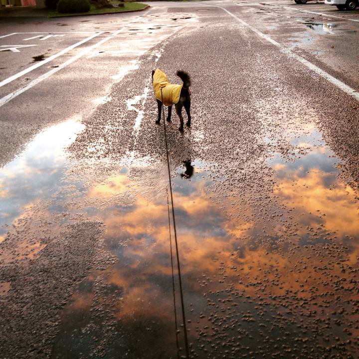 Ac4dffe9 d258 44db 84fe 00850d8c8c06