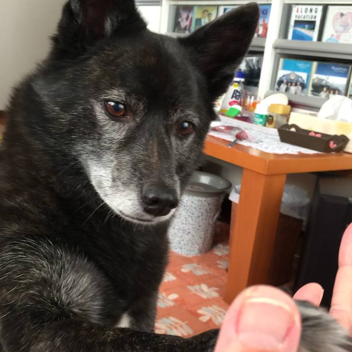 Ac4e016a fe0c 4010 9e15 4c6d703ae9fb