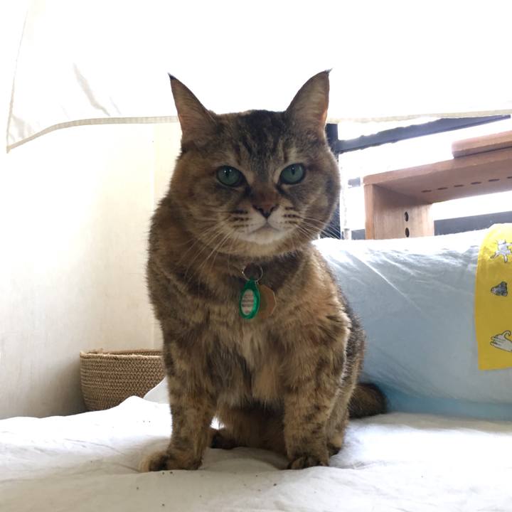 Ac4f513a cd53 418b b96d 97cd8e8f0843