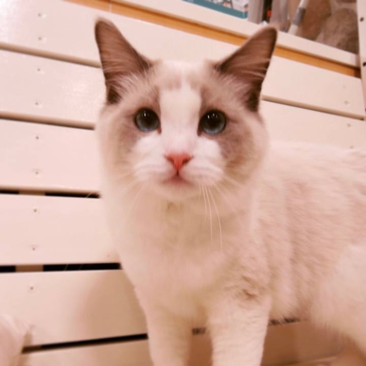 Ac5035a1 14cd 4228 b3f3 ba602ba5e557