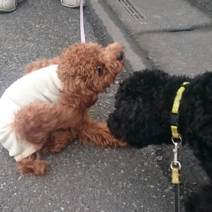 Ac5181f4 4cb4 4734 9e09 52c6a65c0cd5