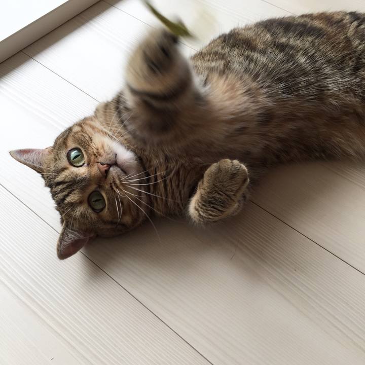 Ac519cd7 e430 473b ad59 72f966bed800