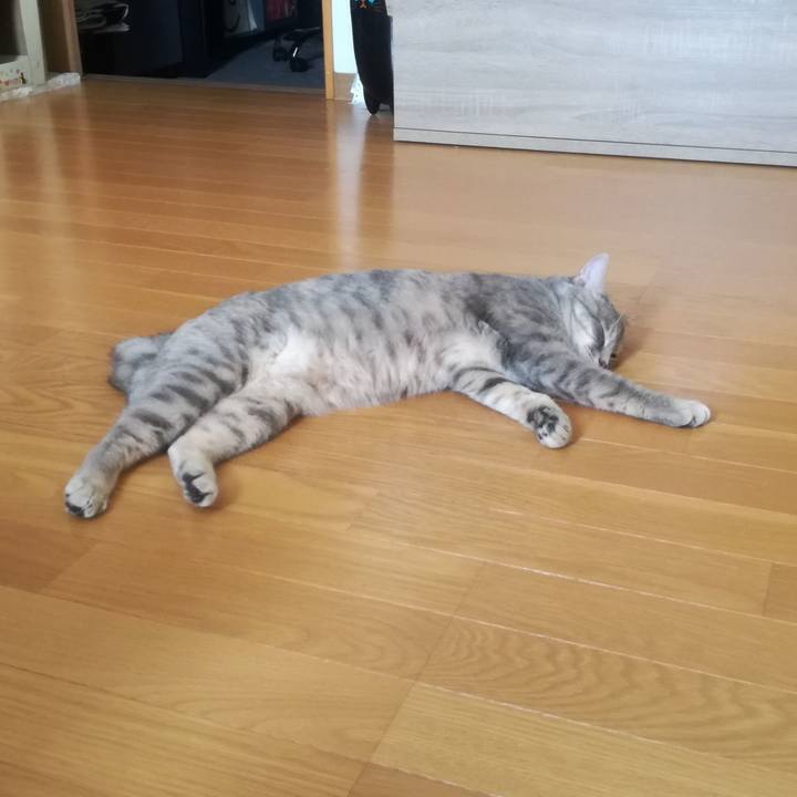 Ac51b2c2 28ab 4d13 88d4 e93bfd2bf620